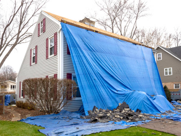 Best Same-Day Junk Removal Services  in Bayou La Batre, AL