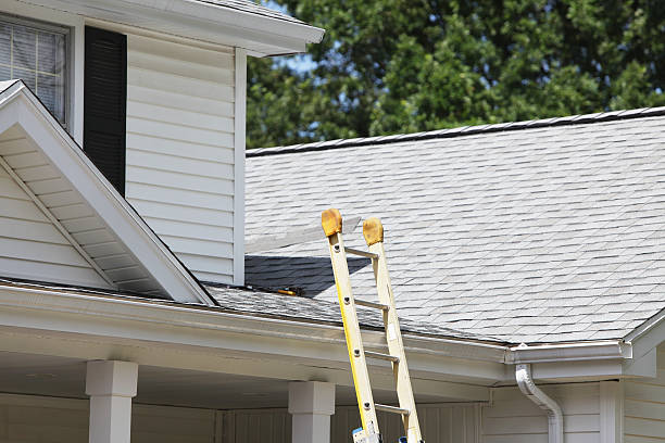 Best Carpet Removal and Disposal  in Bayou La Batre, AL